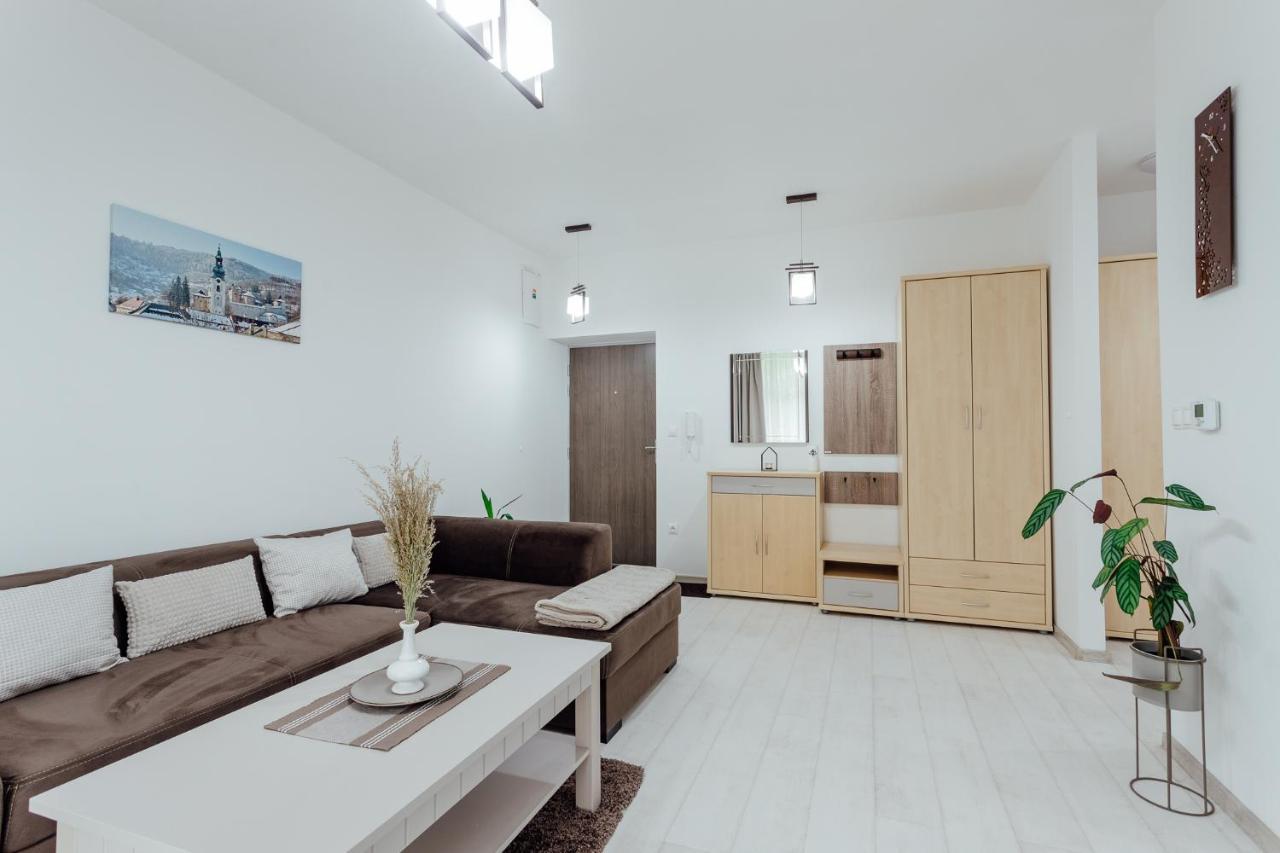 Apartman Vo Vile Kammergraf Banská Štiavnica Εξωτερικό φωτογραφία